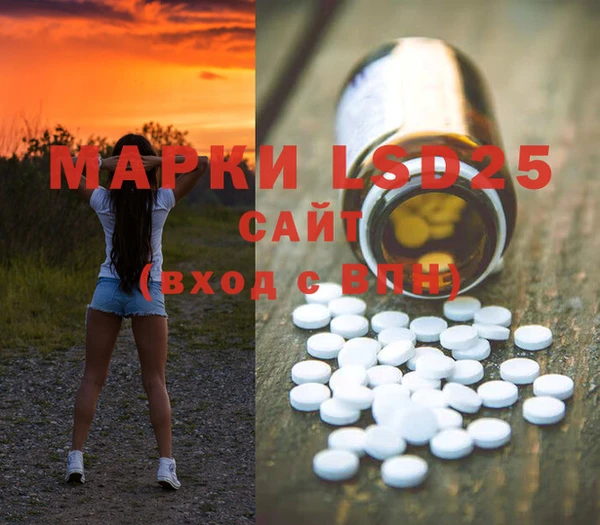 ECSTASY Алзамай