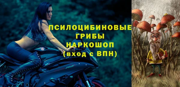 ECSTASY Алзамай